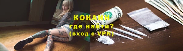 твердый Арсеньев