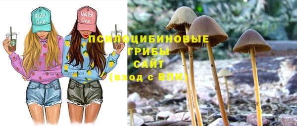герыч Аркадак