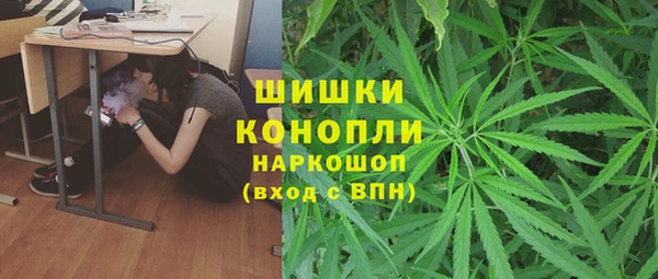 твердый Арсеньев