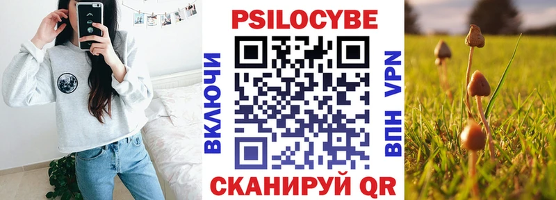 Псилоцибиновые грибы Psilocybe  Малоархангельск 